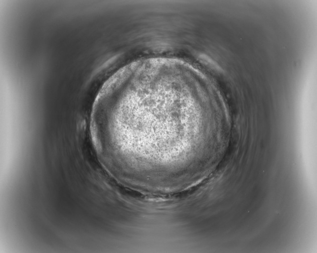 X0000086031302200704091125