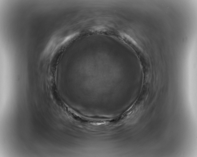 X0000086031303200704091125