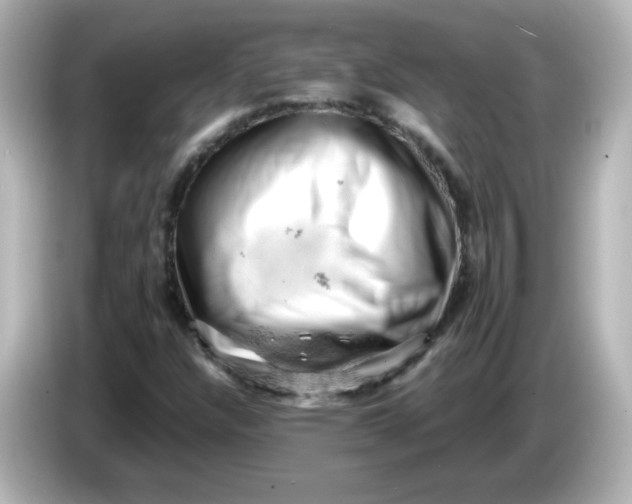 X0000086031304200704091125