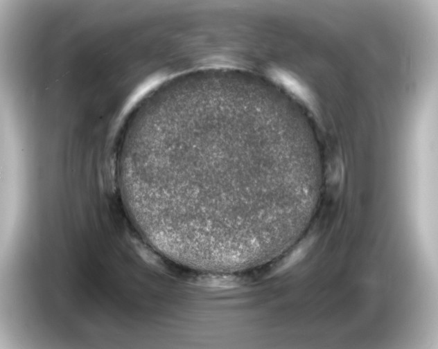 X0000086031310200704091125