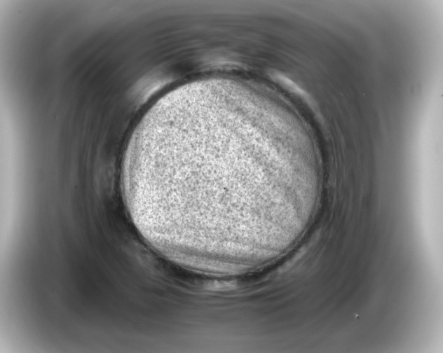 X0000086031313200704091125