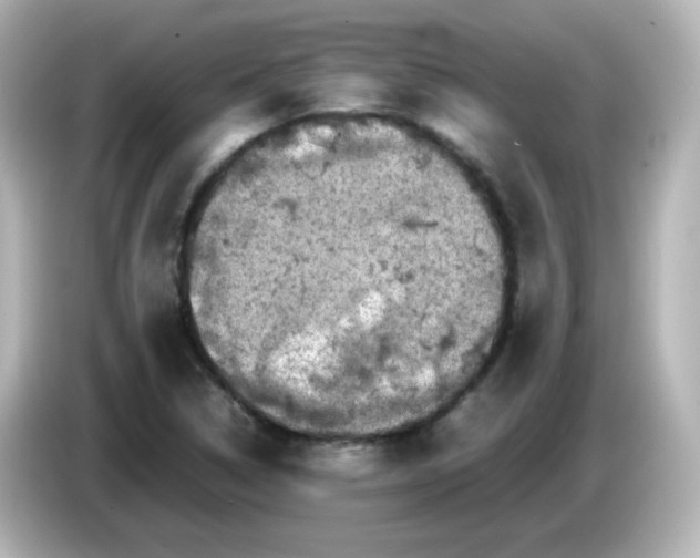 X0000086031314200704091125