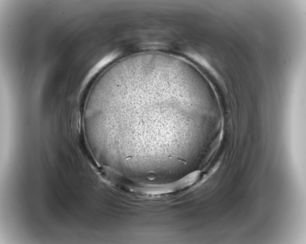 X0000086031317200704091125