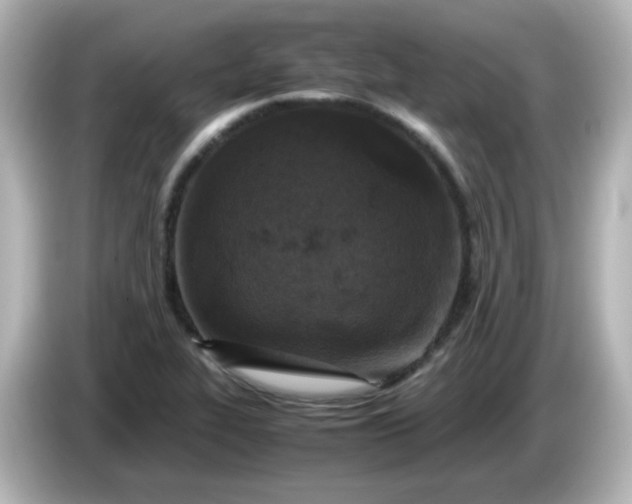 X0000086031319200704091125