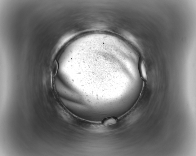 X0000086031320200704091125