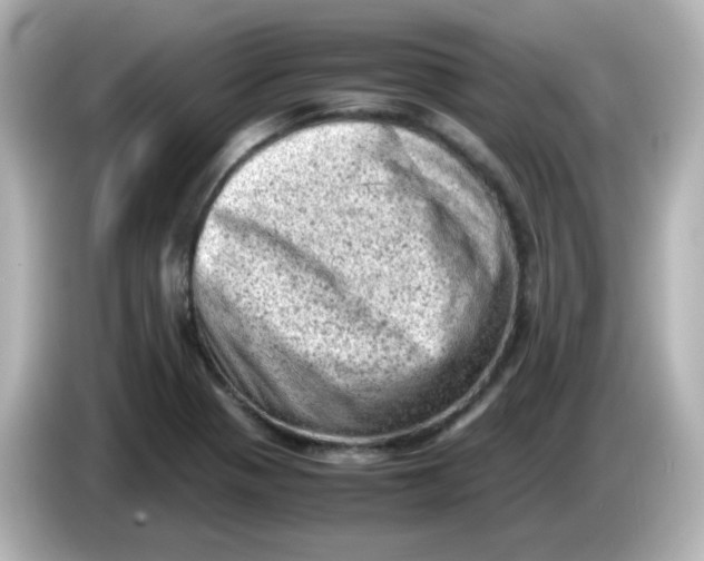 X0000086031321200704091125