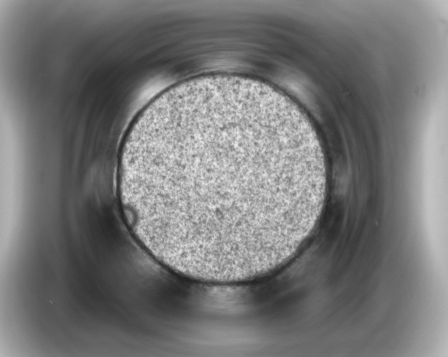 X0000086031322200704091125