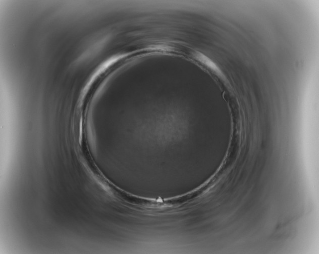 X0000086031323200704091125