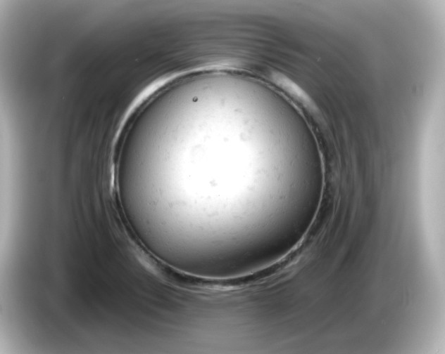 X0000086031324200704091125