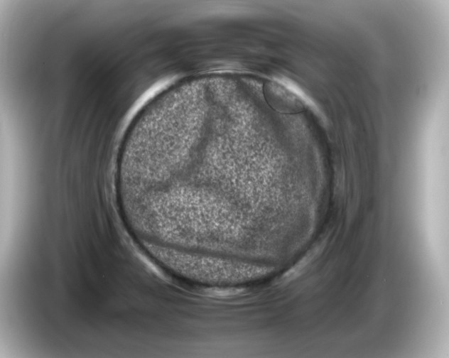 X0000086031325200704091125