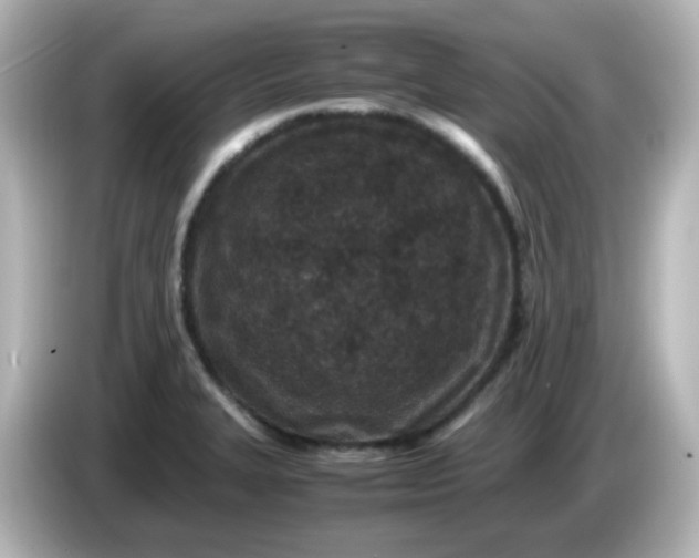 X0000086031327200704091125