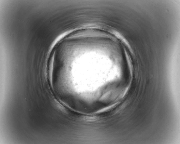 X0000086031328200704091125