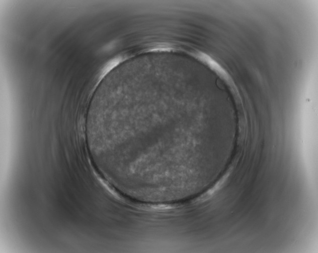 X0000086031329200704091125