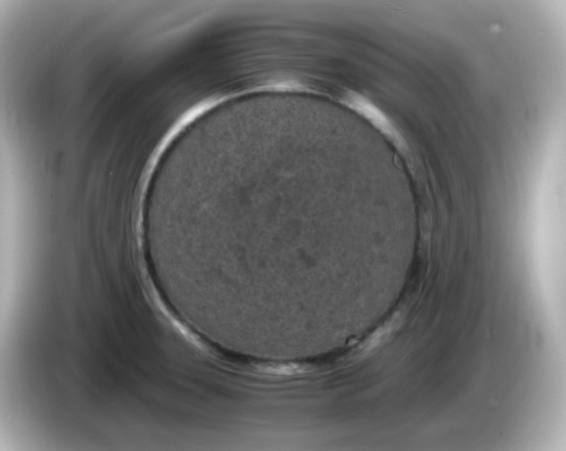 X0000086031331200704091125