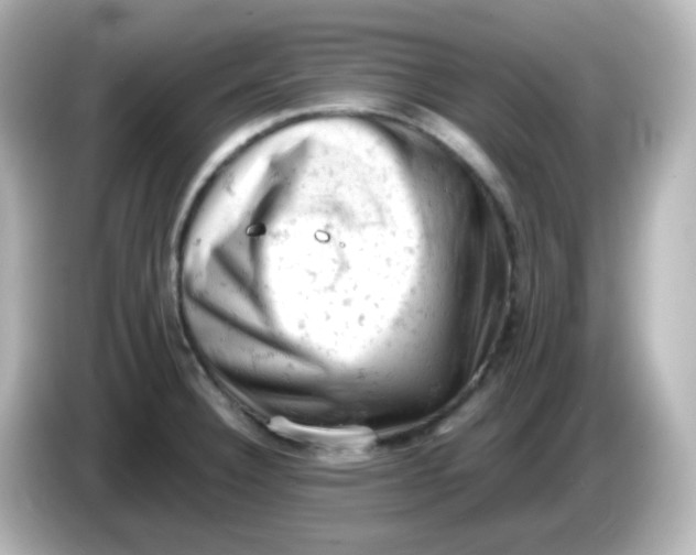 X0000086031332200704091125