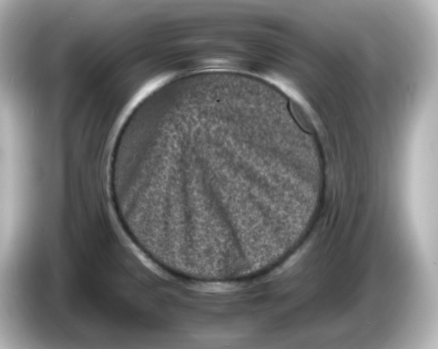 X0000086031333200704091125