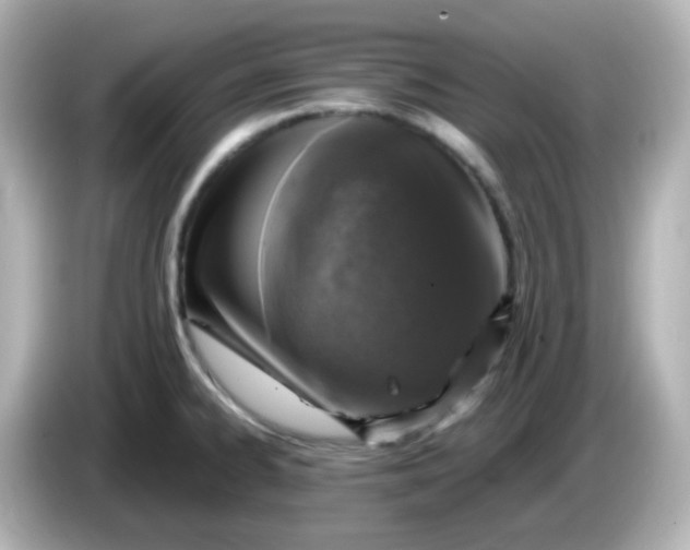 X0000086031334200704091125