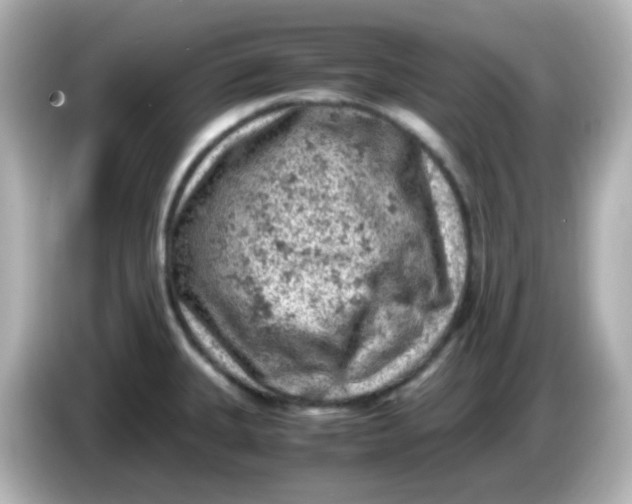 X0000086031335200704091125