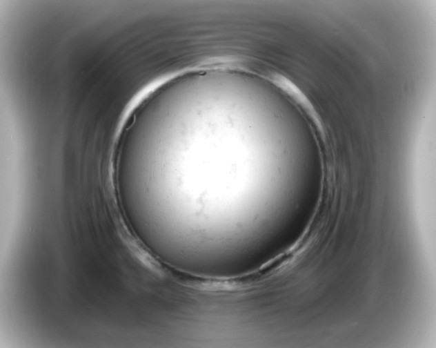 X0000086031336200704091125