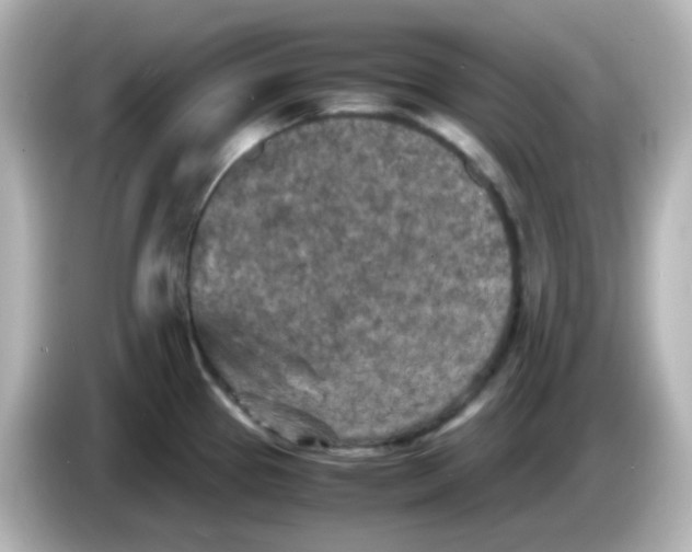 X0000086031337200704091125