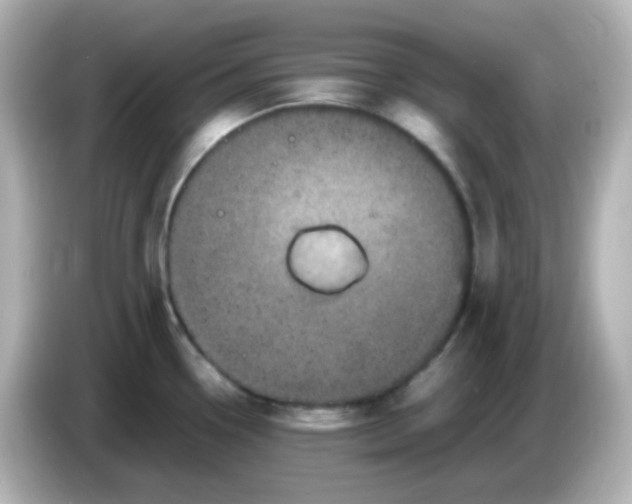 X0000086031338200704091125