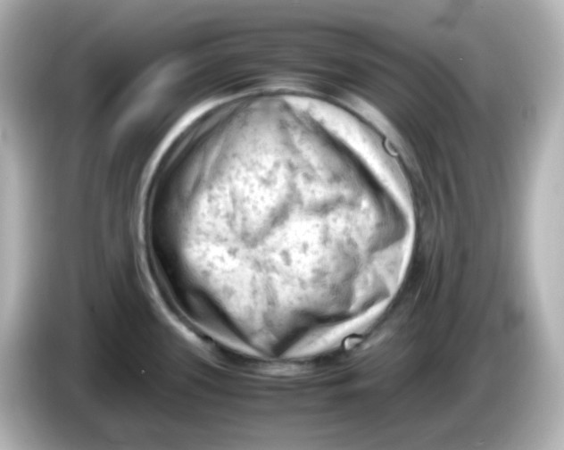 X0000086031339200704091125