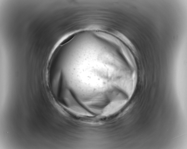 X0000086031340200704091125