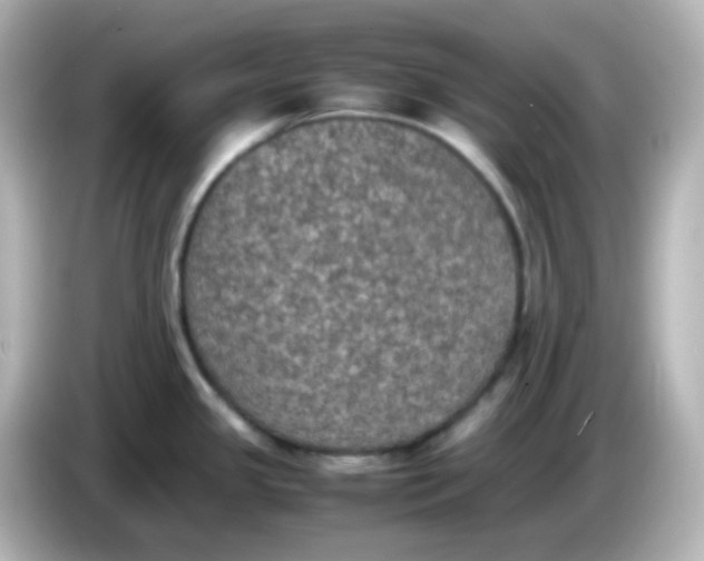 X0000086031341200704091125