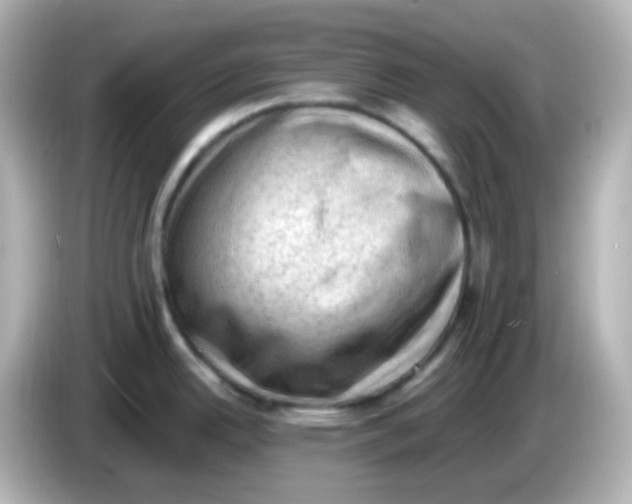 X0000086031342200704091125