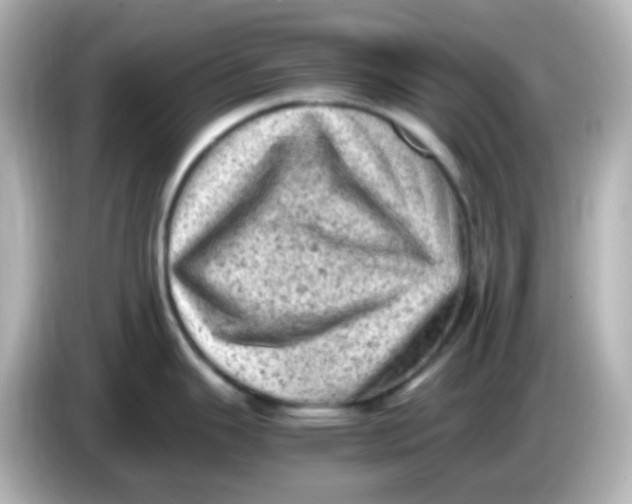 X0000086031343200704091125