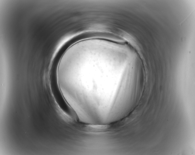 X0000086031344200704091125