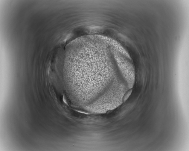 X0000086031346200704091125