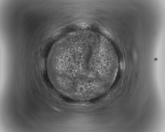 X0000086031347200704091125