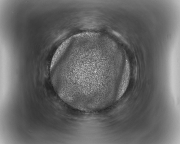 X0000086031350200704091125