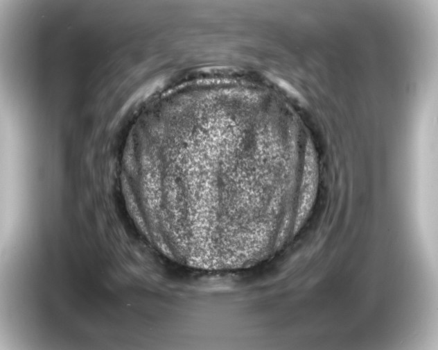 X0000086031351200704091125