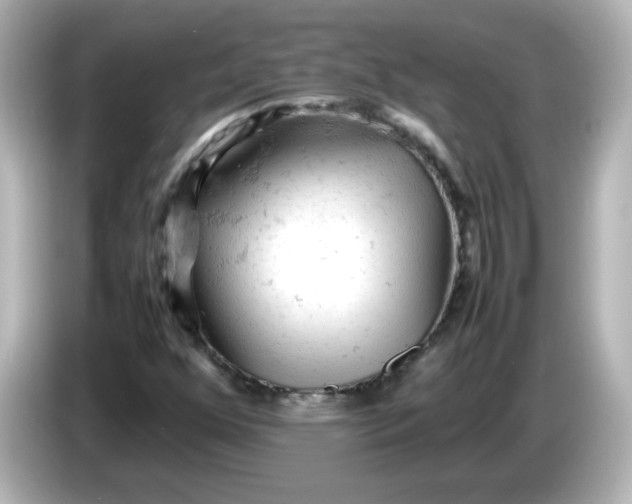 X0000086031352200704091125