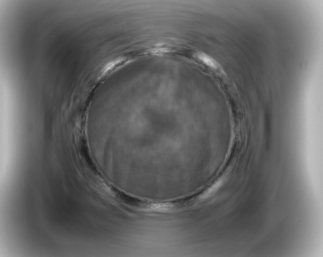 X0000086031353200704091125