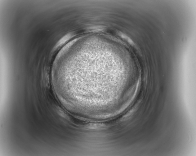 X0000086031354200704091125