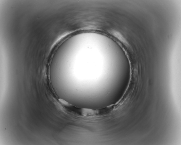 X0000086031356200704091125