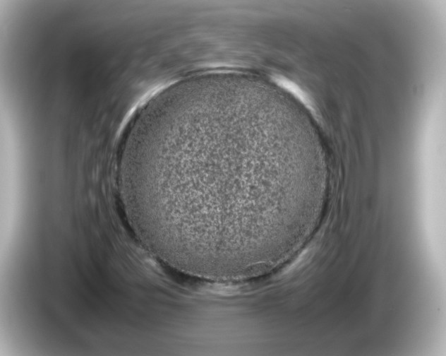 X0000086031357200704091125