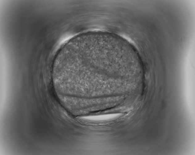 X0000086031359200704091124