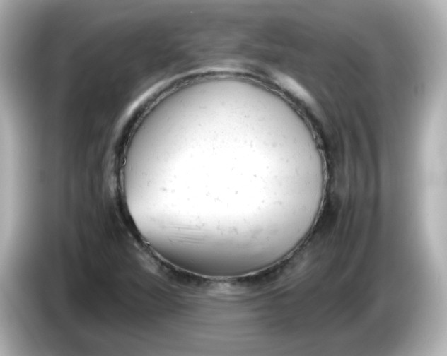 X0000086031360200704091124