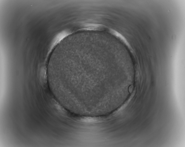 X0000086031362200704091124