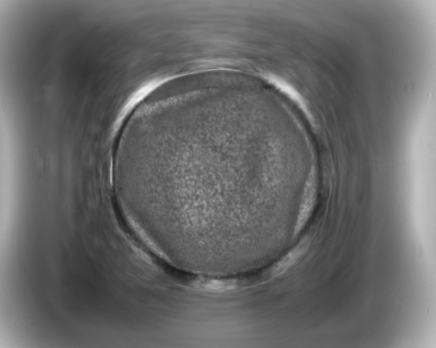 X0000086031365200704091124