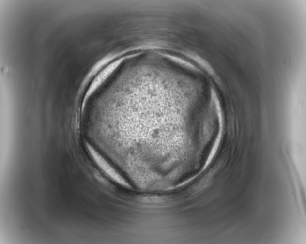 X0000086031366200704091124