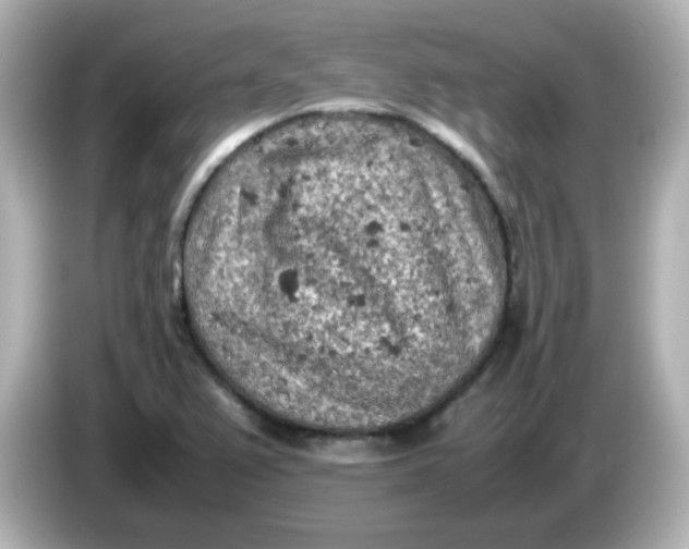 X0000086031367200704091124