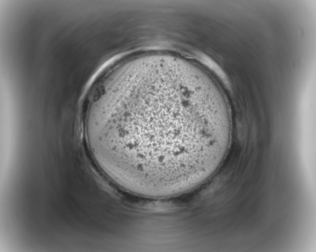 X0000086031368200704091124