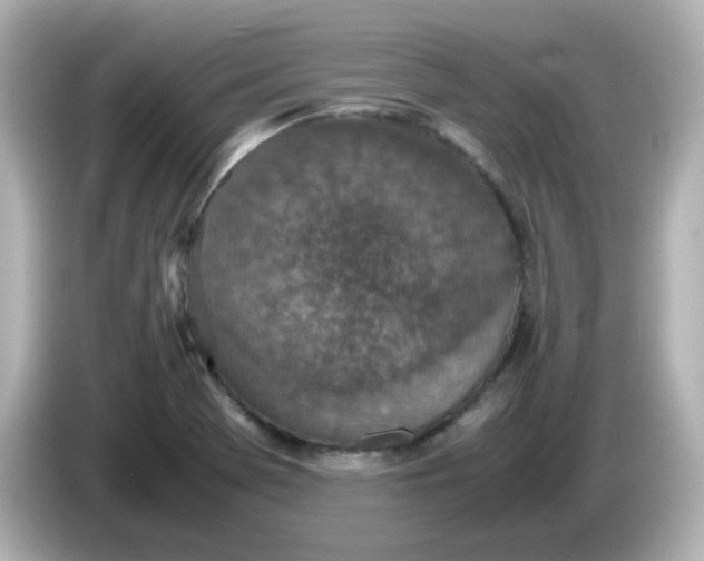 X0000086031369200704091124