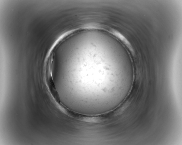 X0000086031376200704091124