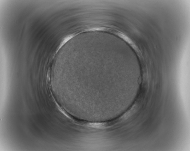 X0000086031377200704091124